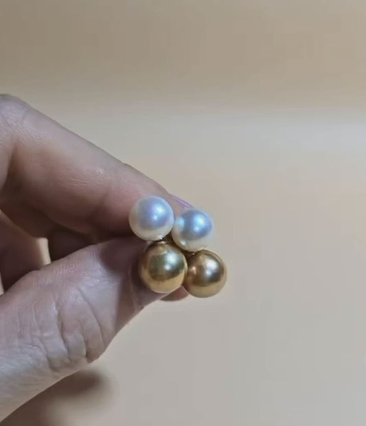 Dual Tone South Sea Pearl Earrings (White & Gold)